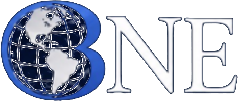 BNE Consulting LLC